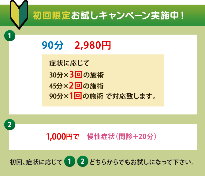 初回限定お試しキャンペーン実施中! 初回限定お試しキャンペーン実施中!